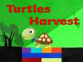 Laro Turtles Harvest