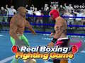 Laro Real Boxing Fighting Game