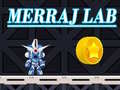 Laro Merraj Lab