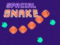 Laro Spacial Snake