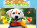 Laro Spot&Differs