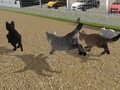 Laro Run Cat Cat Race