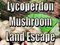 Laro Lycoperdon Mushroom Land Escape