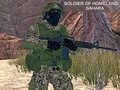 Laro Soldier of Homeland: Sahara