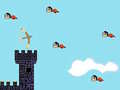 Laro Bird Hunter