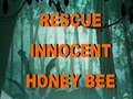 Laro Rescue Innocent Honey Bee 