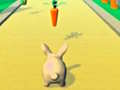 Laro Rabbit Runner