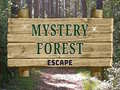 Laro Mystery Forest