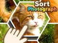 Laro Sort Photograph