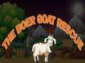 Laro The Boer Goat rescue
