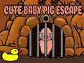 Laro Cute baby Pig escape