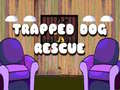 Laro Trapped dog Rescue