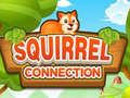 Laro Squirrel Connection