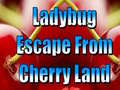 Laro Ladybug Escape From Cherry Land