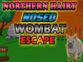 Laro Northern hairy nosed wombat Escape