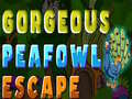 Laro Gorgeous Peafowl Escape