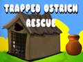Laro Trapped Ostrich Rescue