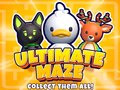 Laro Ultimate Maze! Collect Them All!