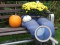 Laro Autumn Garden Find 100 butterflies