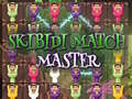Laro Skibidi Match Master