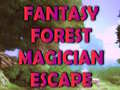 Laro Fantasy Forest Magician Escape