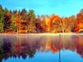 Laro Fishing Simulator Online