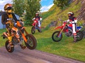 Laro Motocross Driving Simulator
