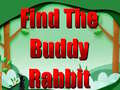 Laro Find The Buddy Rabbit