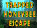 Laro Trapped Honeybee Escape