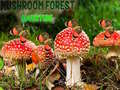 Laro Mushroom Forest Adventure