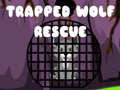 Laro Trapped Wolf Rescue