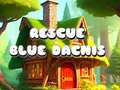 Laro Rescue Blue Dacnis