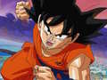 Laro Dragon Ball Treasure Hunter