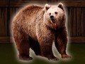 Laro Save The Grizzly Bear