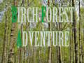Laro Birch Forest Adventure