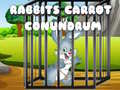 Laro Rabbits Carrot Conundrum