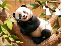 Laro Jigsaw Puzzle: Panda On Tree