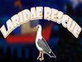 Laro Laridae Rescue