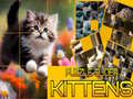 Laro Puzzle Sliding Kittens