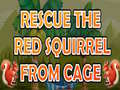 Laro Rescue The Red Squirrel From Cage