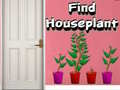 Laro Find Houseplant