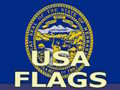 Laro Usa Flags 