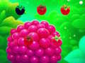 Laro Sweet Raspberry