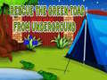 Laro Rescue The Green Toad From Underground