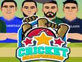 Laro Cricket Championship