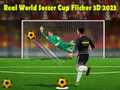 Laro Real World Soccer Cup Flicker 3D 2023
