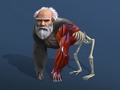Laro Idle Evolution From Cell To Human