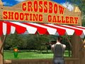 Laro Crossbow Shooting Gallery