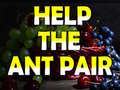 Laro Help The Ant Pair