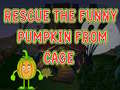 Laro Rescue The Funny Pumpkin From Cage